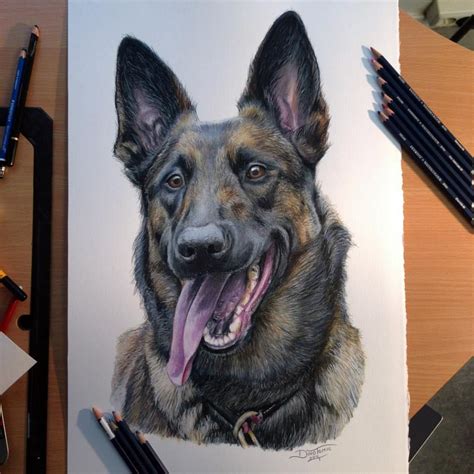 Les dessins au crayons réalistes de Dino Tomic | Peintures de chien ...