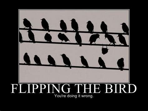 FLIPPING THE BIRD