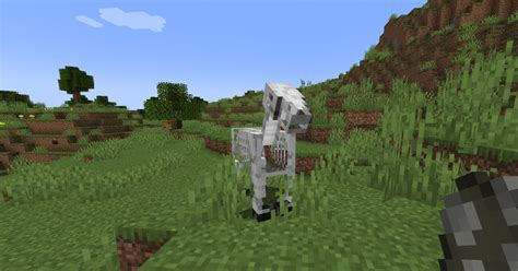 How to Get a Skeleton Horse in Minecraft