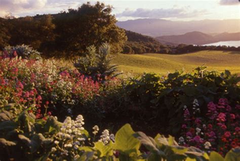 Napa Wineries With the Best Views - 7x7 Bay Area