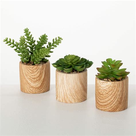 Artificial Succulents - Bed Bath & Beyond