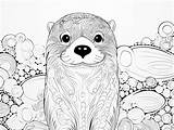 Artistic Otter Coloring Project  Page sketch template