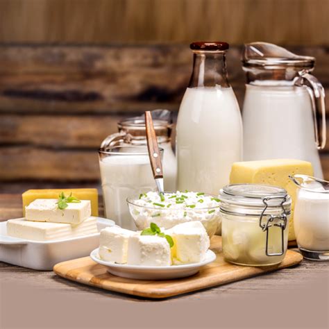 Importance of Dairy Products in Our Daily Life