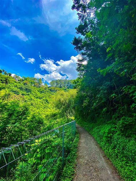 The Other Side of the Lembang Fault Road Stock Photo - Image of leaf ...