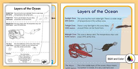 Printable Ocean Layers Worksheet | Twinkl USA (teacher made)