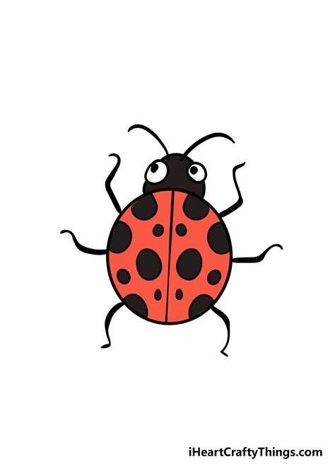 How To Draw A Ladybug Step By Step