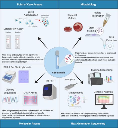 Molecular diagnostic assays for the detection of common bacterial meningitis pathogens: A ...