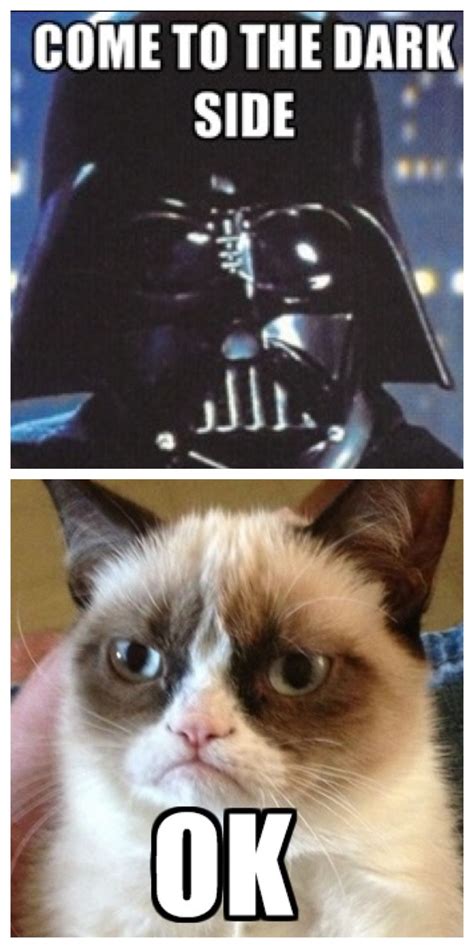 Grumpy Cat accepts the Dark Side :( Cute Animal Memes, Funny Animal ...