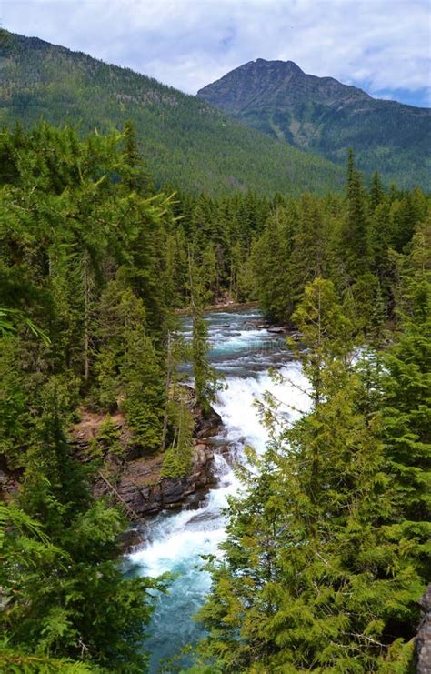 RAGING RIVER and WATERFALL, GLACIER NATIONAL PARK Stock Photo - Image ...