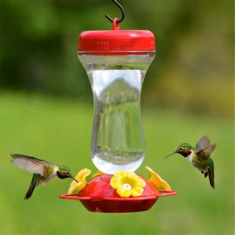 Duncraft.com: 16 oz. Glass Top Fill Hummingbird Feeder