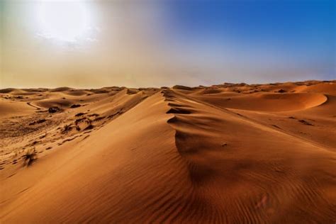 10 Best Things To Do in Western Sahara | Krazy Butterfly