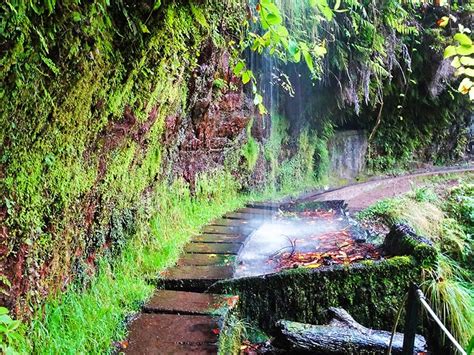 Kings Levada – Madeira Island Walks – With Emanuel!