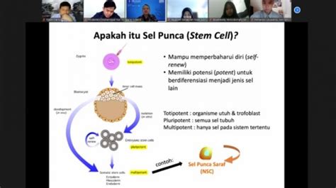 Apa Itu Sel Punca? Berikut Penjelasan Ilmiah Peneliti Biologi Manusia