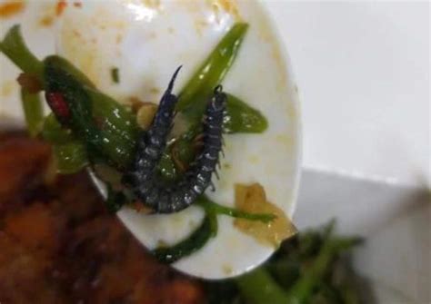 Protein for the gains? Centipede in meal at VivoCity food court disgusts diner , Singapore News ...