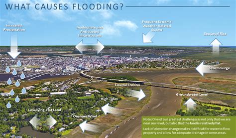 Causes of Flooding | Charleston, SC - Official Website