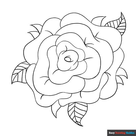 Rose Flower Drawing Images