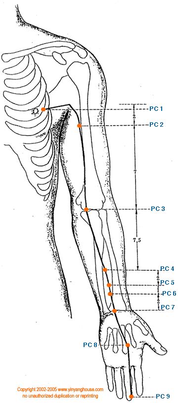 Yin Yang House | Pericardium Meridian Acupuncture Points Database