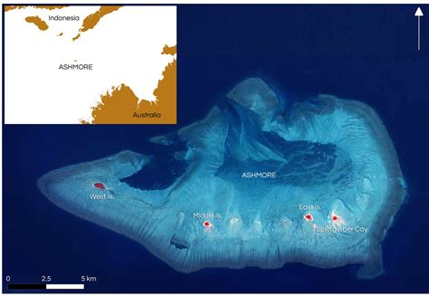 Science on an island sanctuary: Surveying Ashmore Reef Marine Park – ECOS