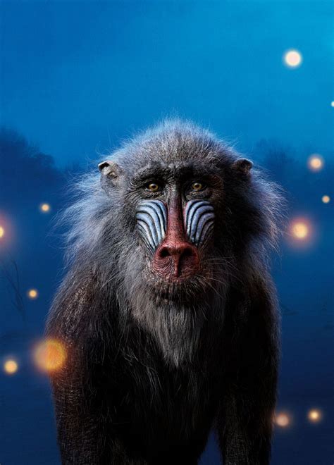 The Lion King (2019) | RAFIKI textless by mintmovi3 on DeviantArt