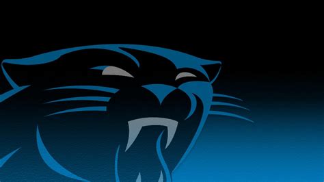 Carolina Panthers Wallpapers - Top Free Carolina Panthers Backgrounds ...