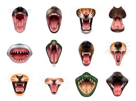 Animal Mouth Set 4661938 Vector Art at Vecteezy