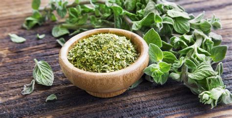 Oregano Benefits, Nutrition, Side Effects and Recipes - Dr. Axe