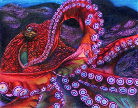 colorful octopus for sale - Google Search | Octopus painting, Giant pacific octopus, Octopus ...