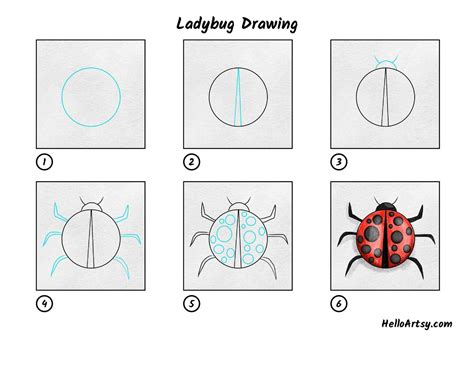 Ladybug Drawing - Spence Conage