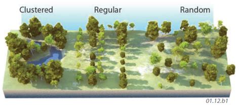 How Do We Use GIS to Explore Spatial Issues?