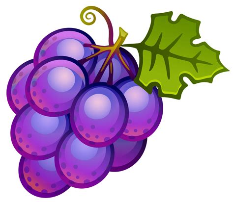 Purple Grapes...clip art. | Desenho de uva, Clip art, Imagens de frutas