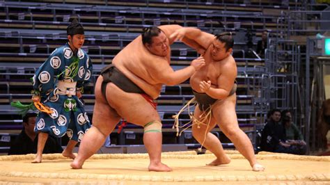 Biggest Sumo Wrestlers Ever - Who Makes It into Top 10 Heaviest