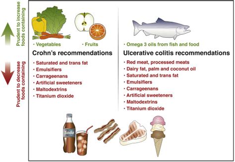 Dietary Guidance From the International Organization for the Study of ...