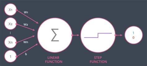 Perceptron