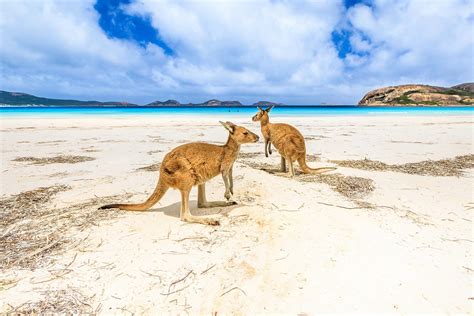 The 20 Best Beaches in Australia