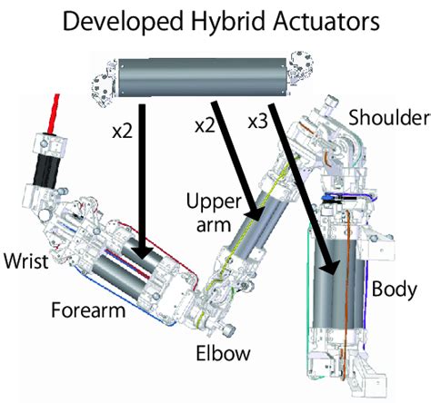 Proposed robot configuration using developed hybrid actuators. | Download Scientific Diagram