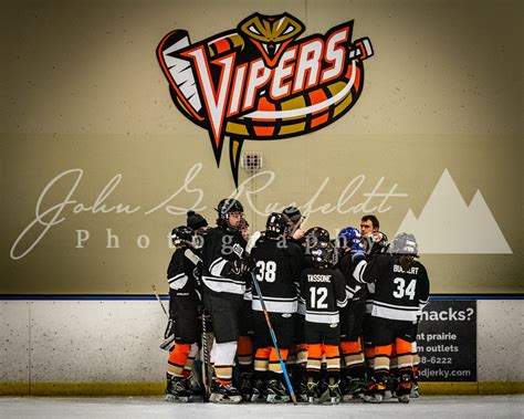 Vipers - John G Rusfeldt