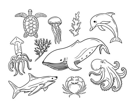 Set of outline doodle sea animals and creatures. Vector isolated black ...