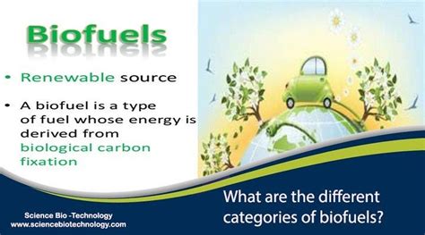 Biofuels In Biotechnology - Engineering's Advice