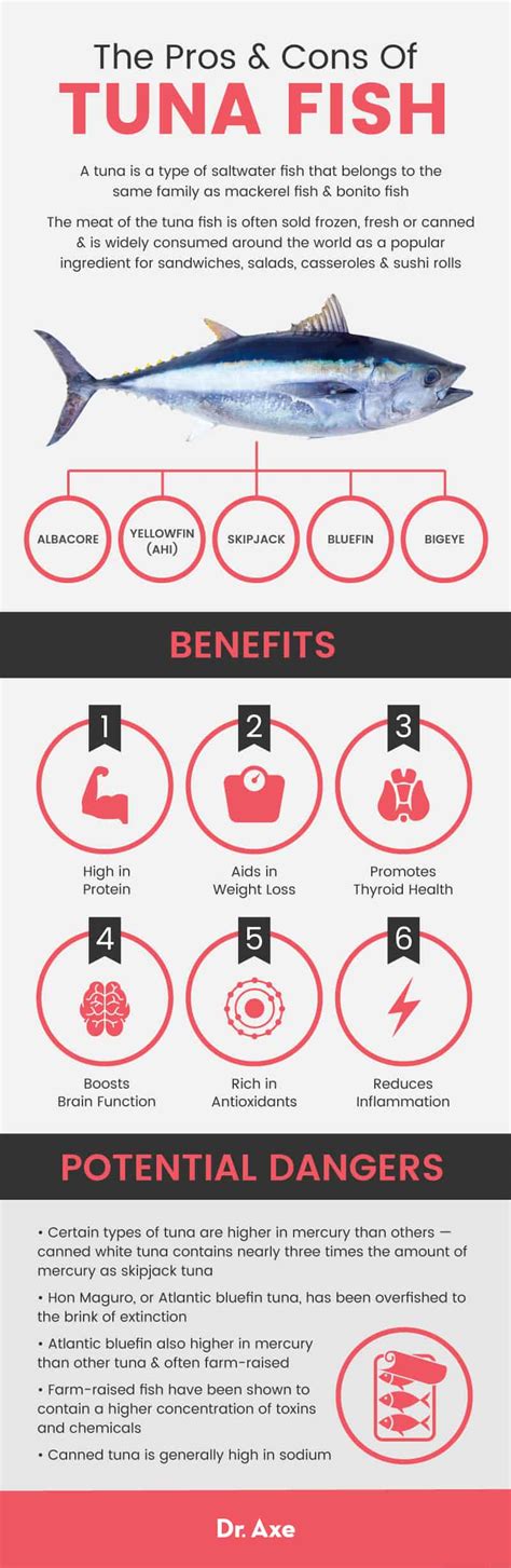 Tuna Fish Benefits vs. Downsides - Dr. Axe