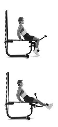 Soloflex Exercise Machine: Exercises From Soloflex Poster - Gear Report