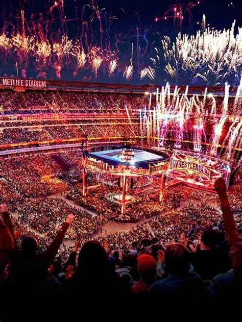 Top 10 WWE Crowd Reactions in 2023 – FirstSportz