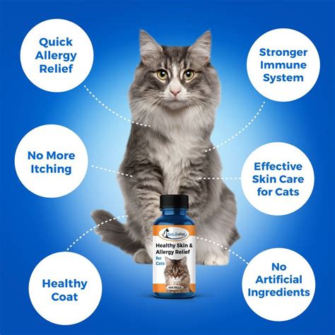 Healthy Skin, Coat and Allergy Relief Dermatitis Remedy for Cats | Cat skin, Allergy relief, Cat ...