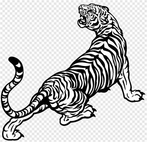 White tiger Drawing Black and white, tiger, white, mammal png | PNGEgg