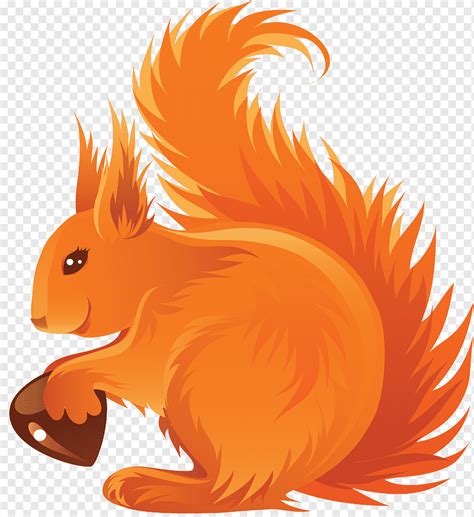 Drawing Acorn Red squirrel, acorn, mammal, carnivoran, orange png | PNGWing