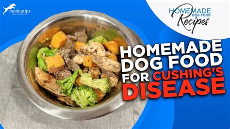 Recipe: Homemade Dog Food for Cushing’s Disease – Top Dog Tips