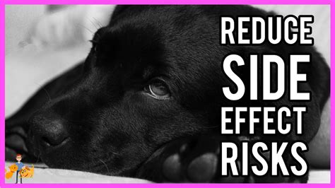 9 Steps to Eliminate Pet Medication Side-Effects — Our Pet's Health