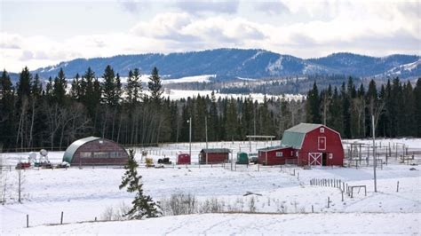 Heartland shows off beautiful Alberta winters | CBC Television