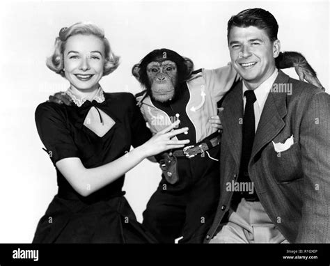 Bedtime for bonzo 1951 ronald reagan hi-res stock photography and ...