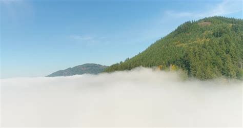 Morning Dew Point Fog Dissipates With Sunlight Below Tree Lined Mountain Hills In Pacific ...