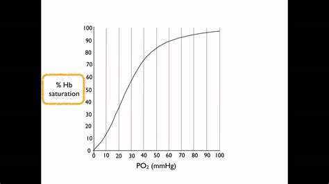 Oxyhemoglobin dissociation curve - YouTube